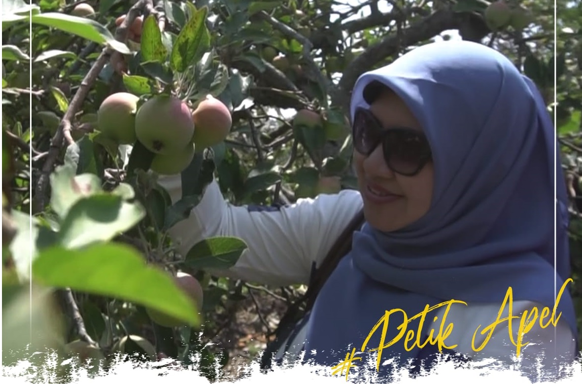 Jelajahi Surga Tersembunyi: Outbound Seru di Pancur Batu